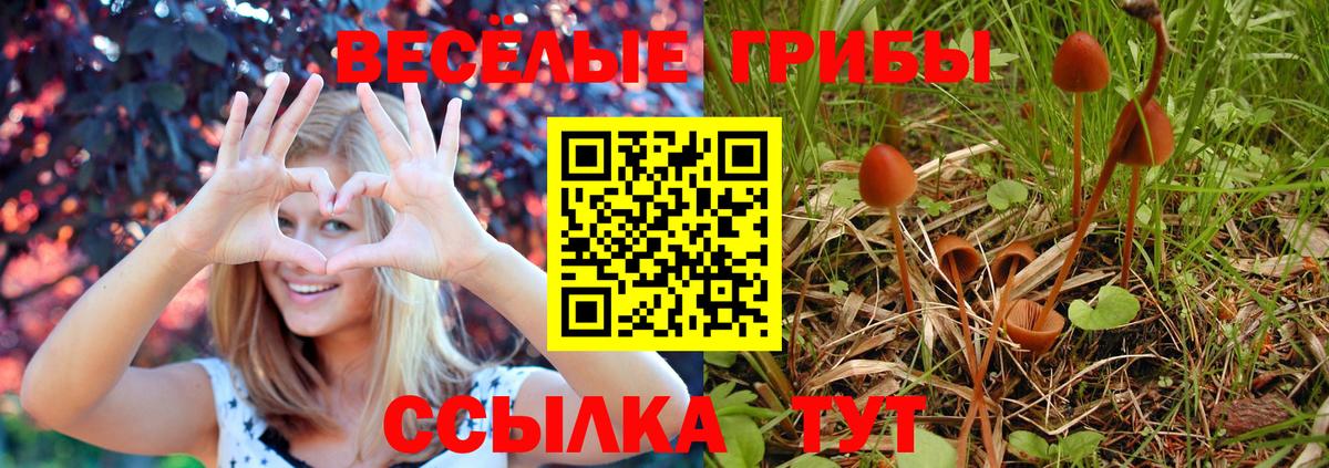 Ишимбай  Псилоцибиновые грибы GOLDEN TEACHER  Псилоцибиновые грибы Magic Shrooms  Вход с VPN 